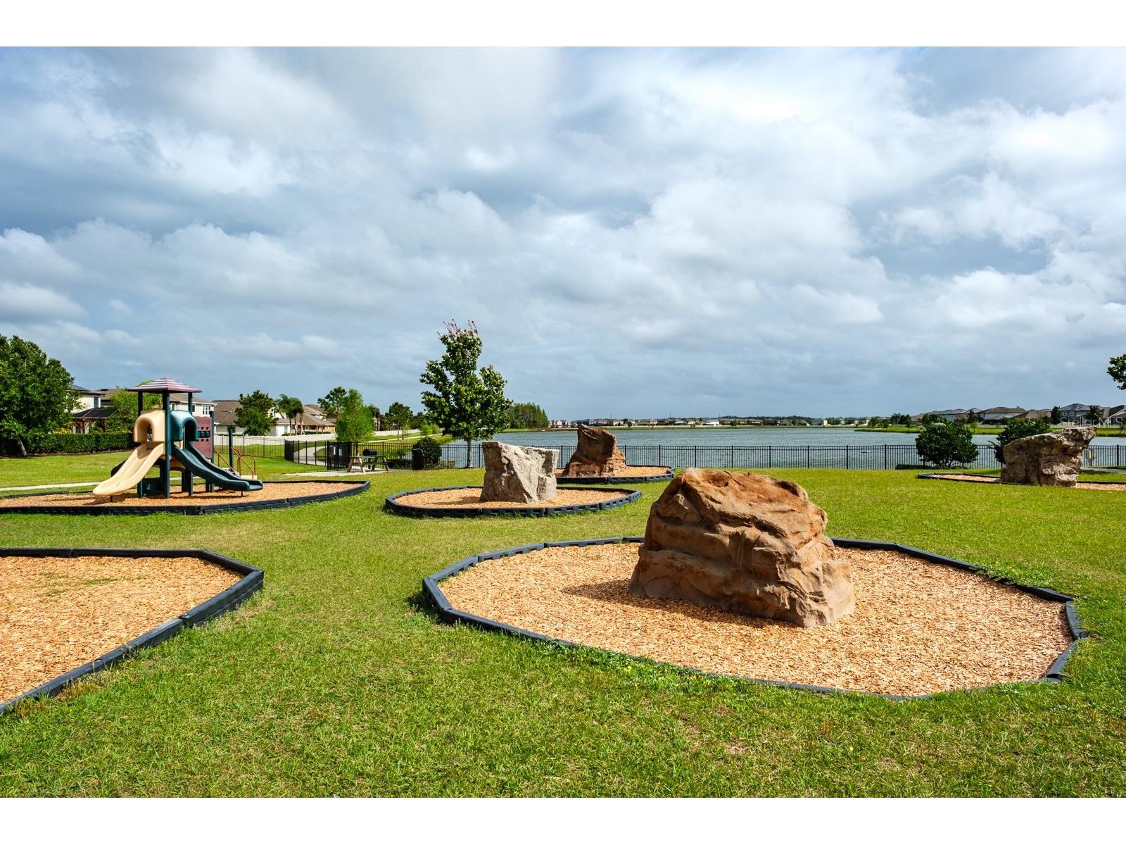 1653 Nature View Drive Lutz FL 33558 TB8495373 image94