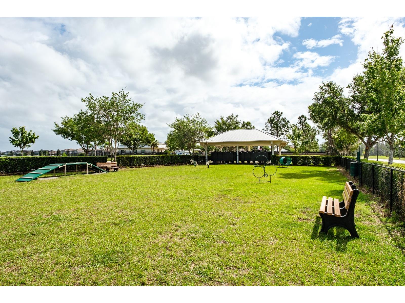 1653 Nature View Drive Lutz FL 33558 TB8495373 image95
