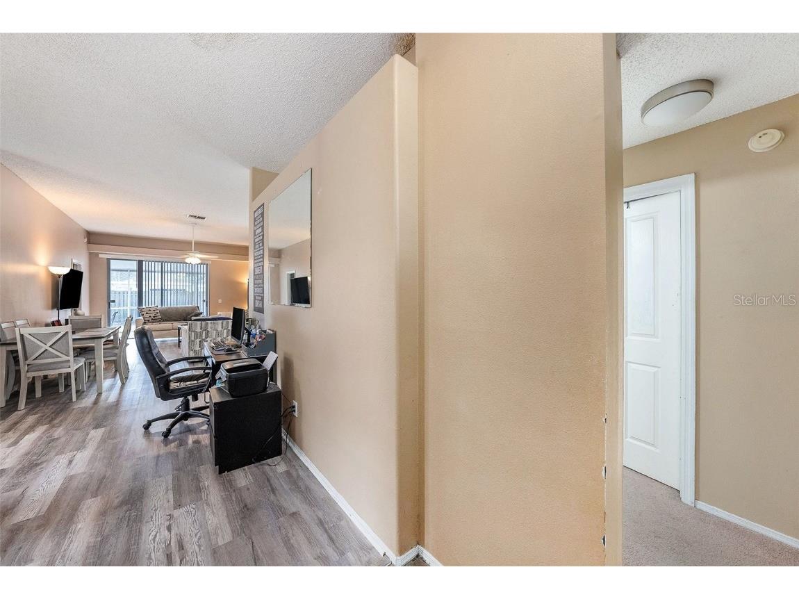 1653 Portsmouth Lake Drive Brandon FL 33511 TB8453912 image9