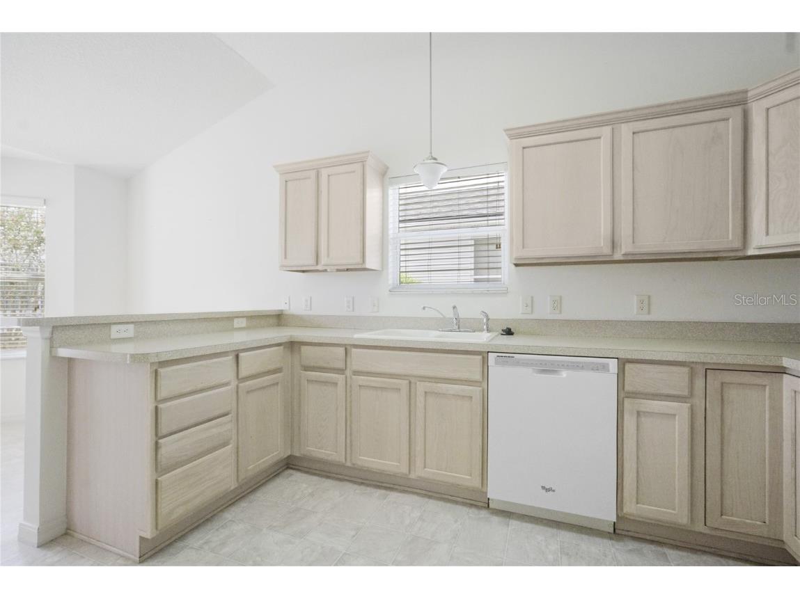 1653 Rosebury Loop The Villages FL 32162 G5102552 image1