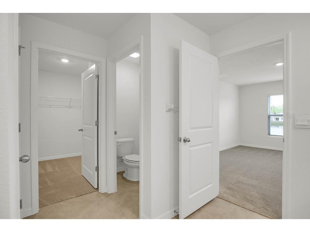 16530 Windmill Forge Pass Wimauma FL 33598 TB8503740 image24