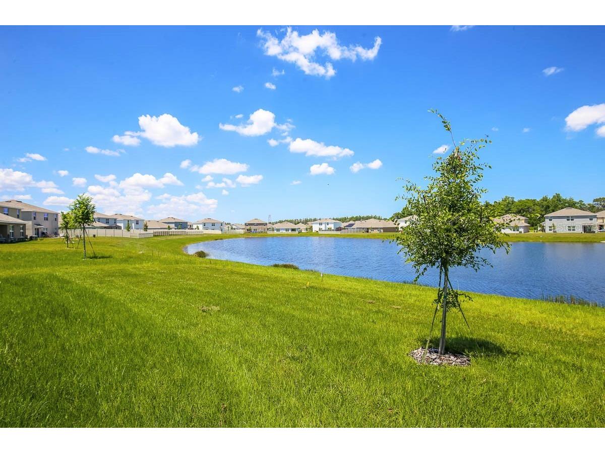 16530 Windmill Forge Pass Wimauma FL 33598 TB8503740 image32