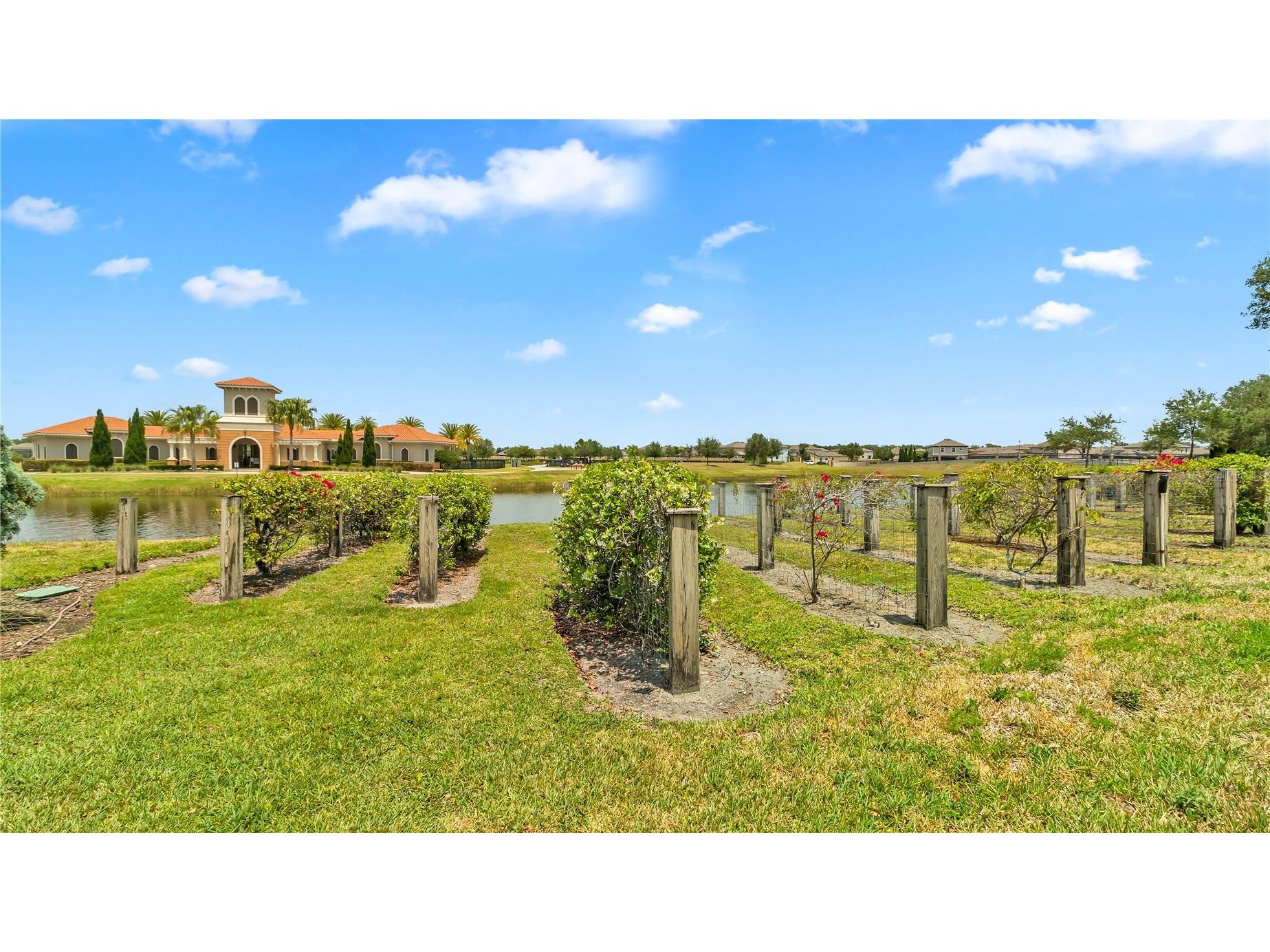 16531 Windmill Forge Pass Wimauma FL 33598 TB8515237 image50