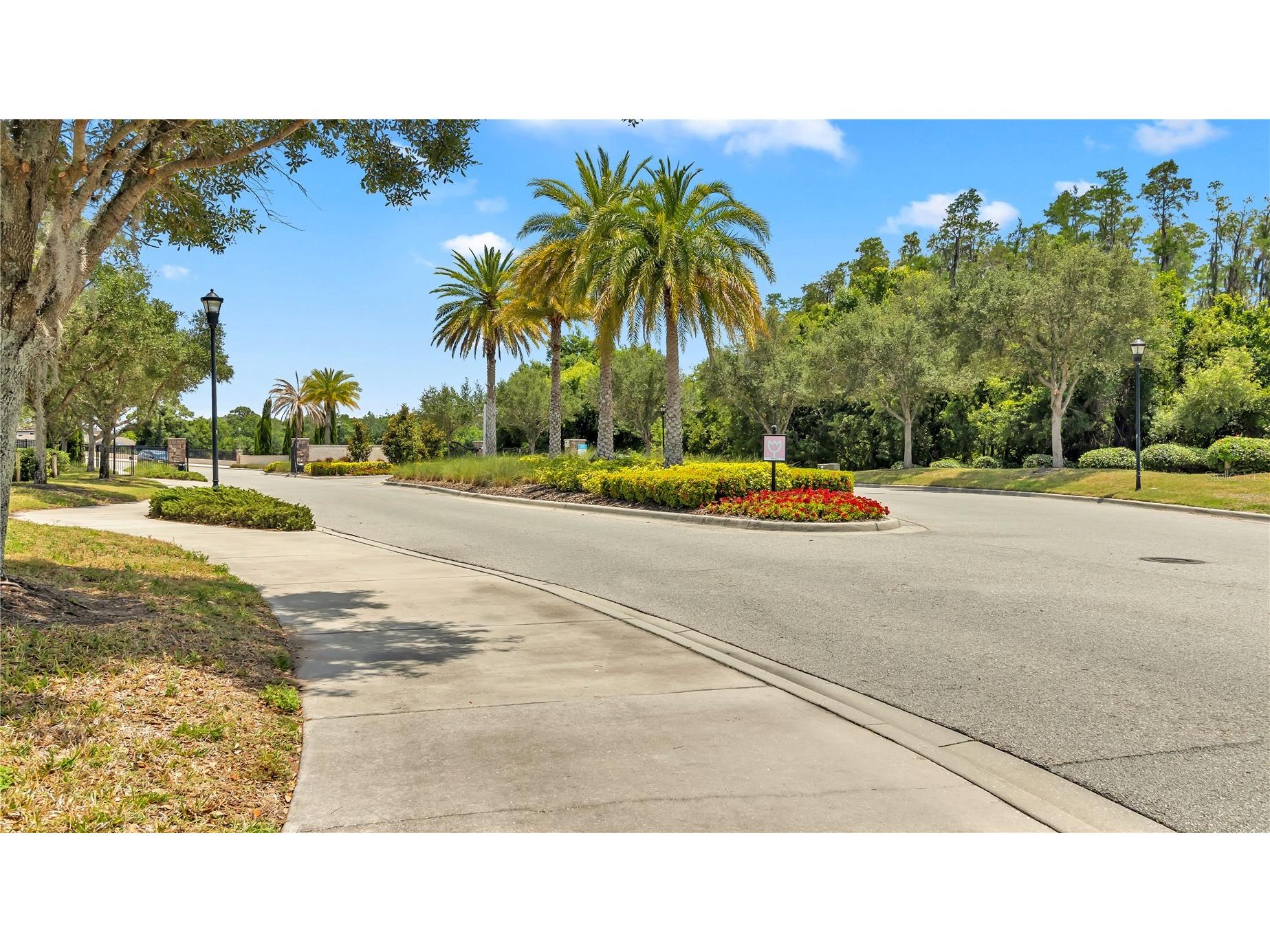 16531 Windmill Forge Pass Wimauma FL 33598 TB8515237 image51