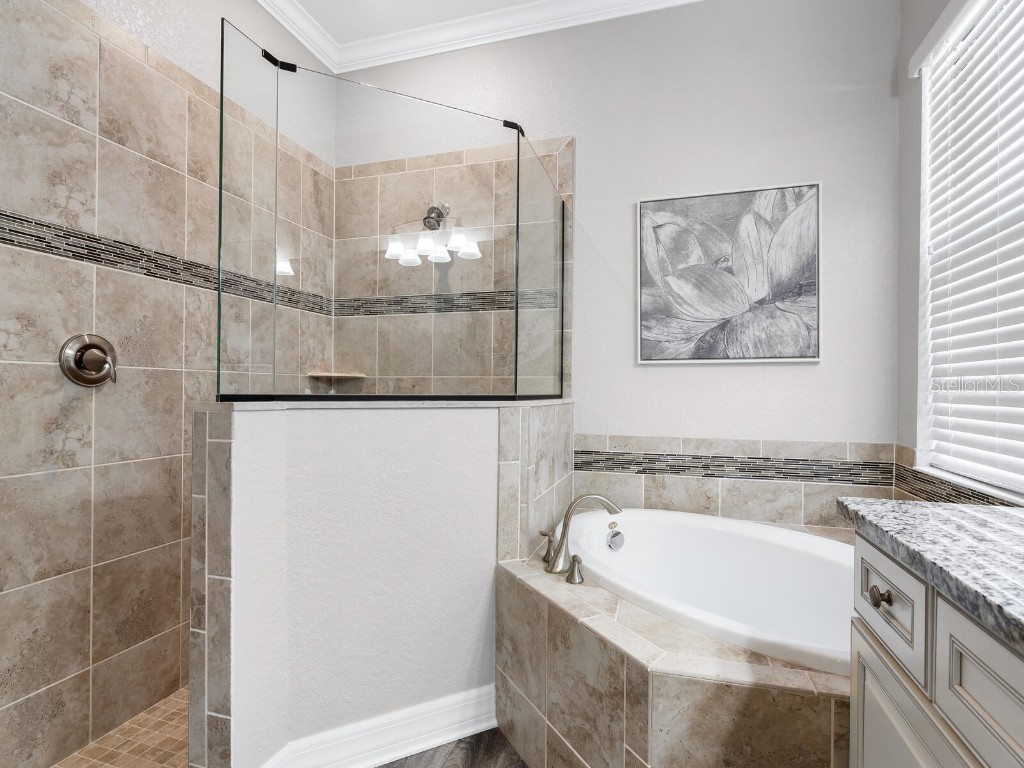 16532 Hillside Circle Lakewood Ranch FL 34202 A4665691 image27