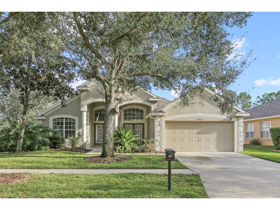 16533 Bridgewalk Drive Lithia FL 33547 T3484472 image1