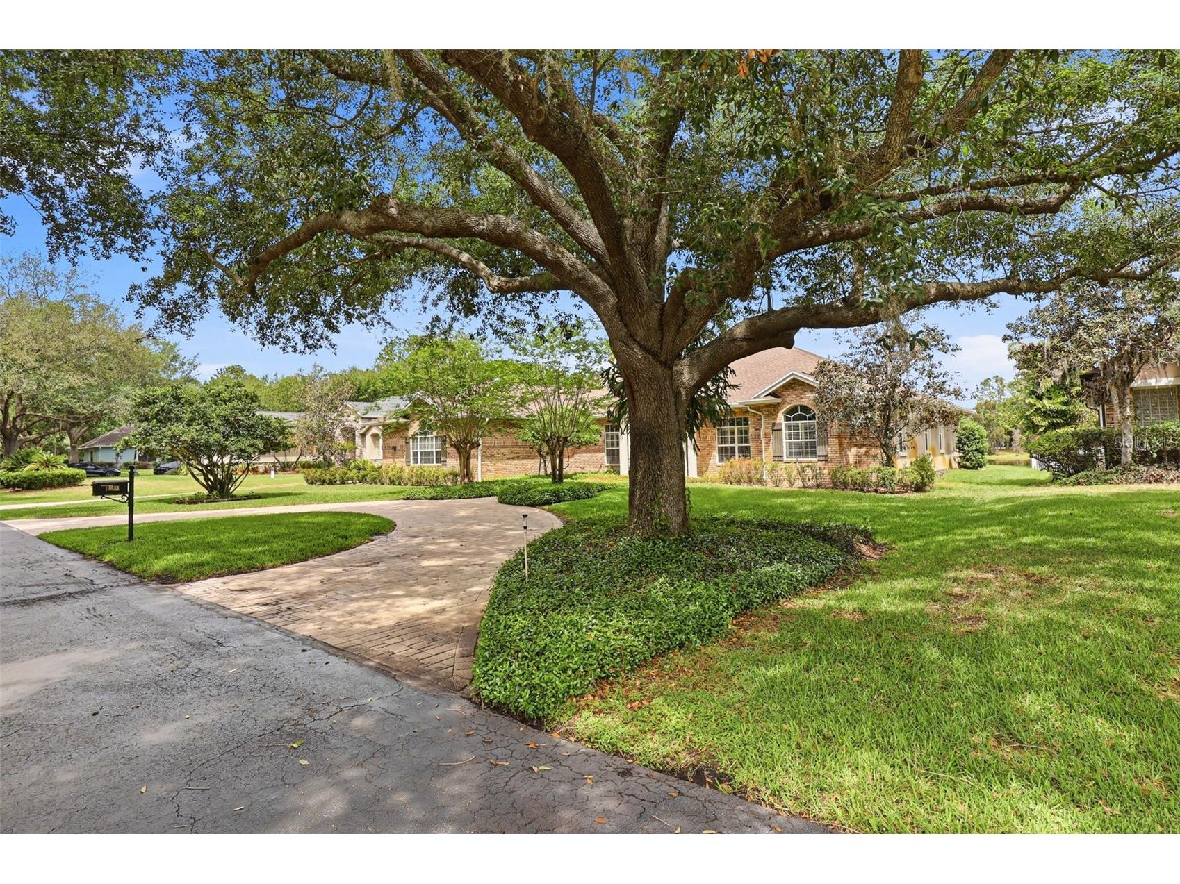 16533 Hutchison Road Odessa FL 33556 TB8491954 image4