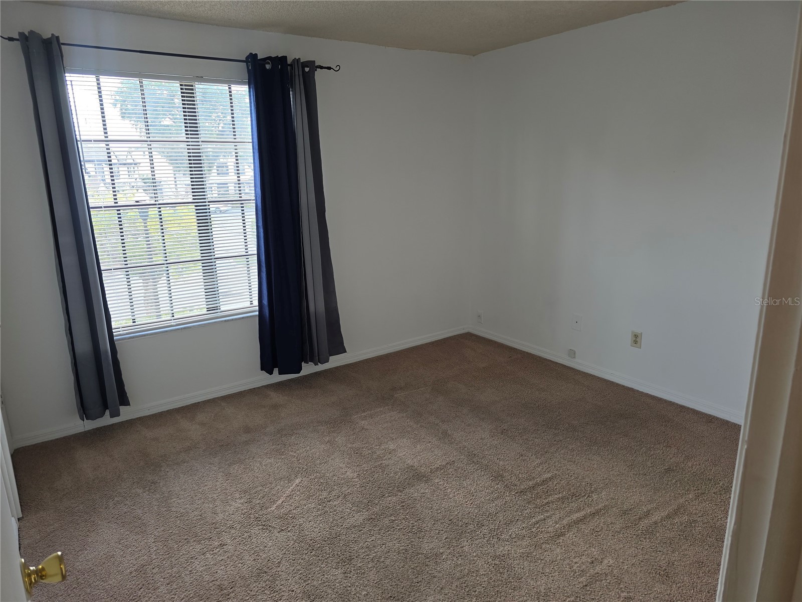 16535 Brigadoon Drive Tampa FL 33618 TB8515240 image8