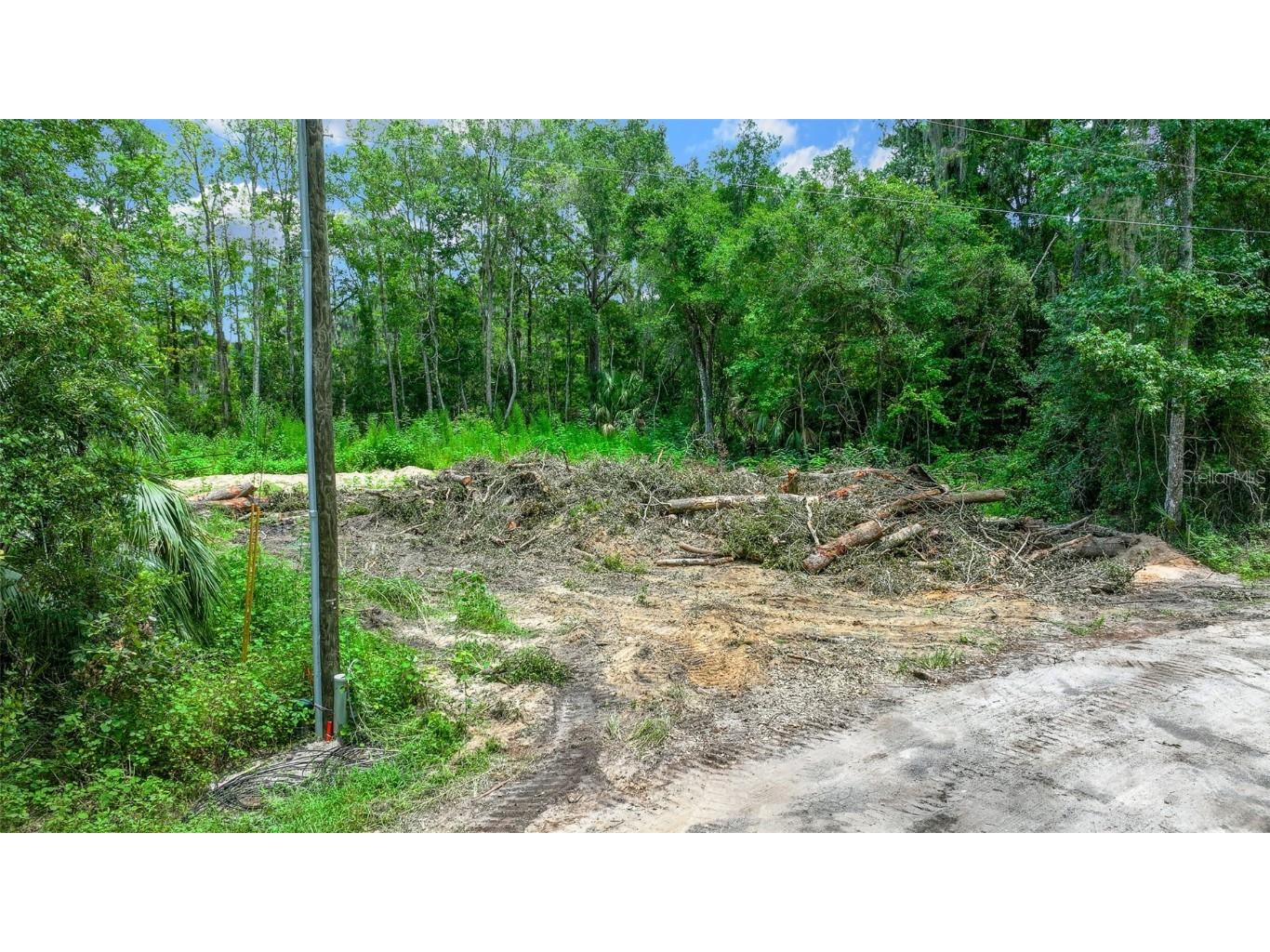 16535 SE 100th Place Ocklawaha FL 32179 G5084547 image1