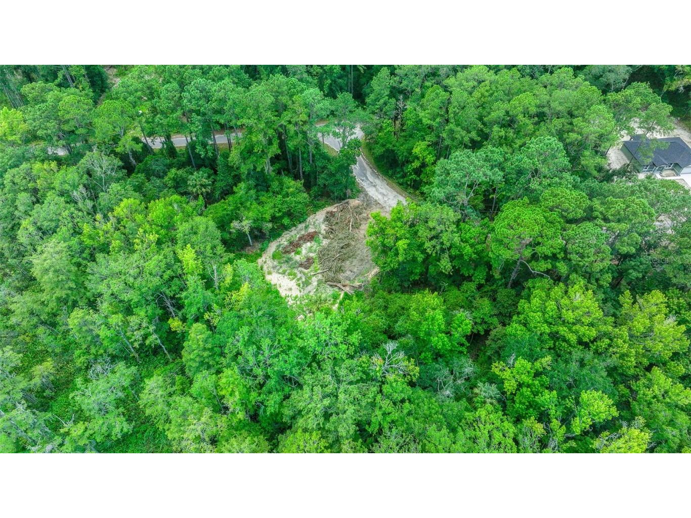 16535 SE 100th Place Ocklawaha FL 32179 G5084547 image10