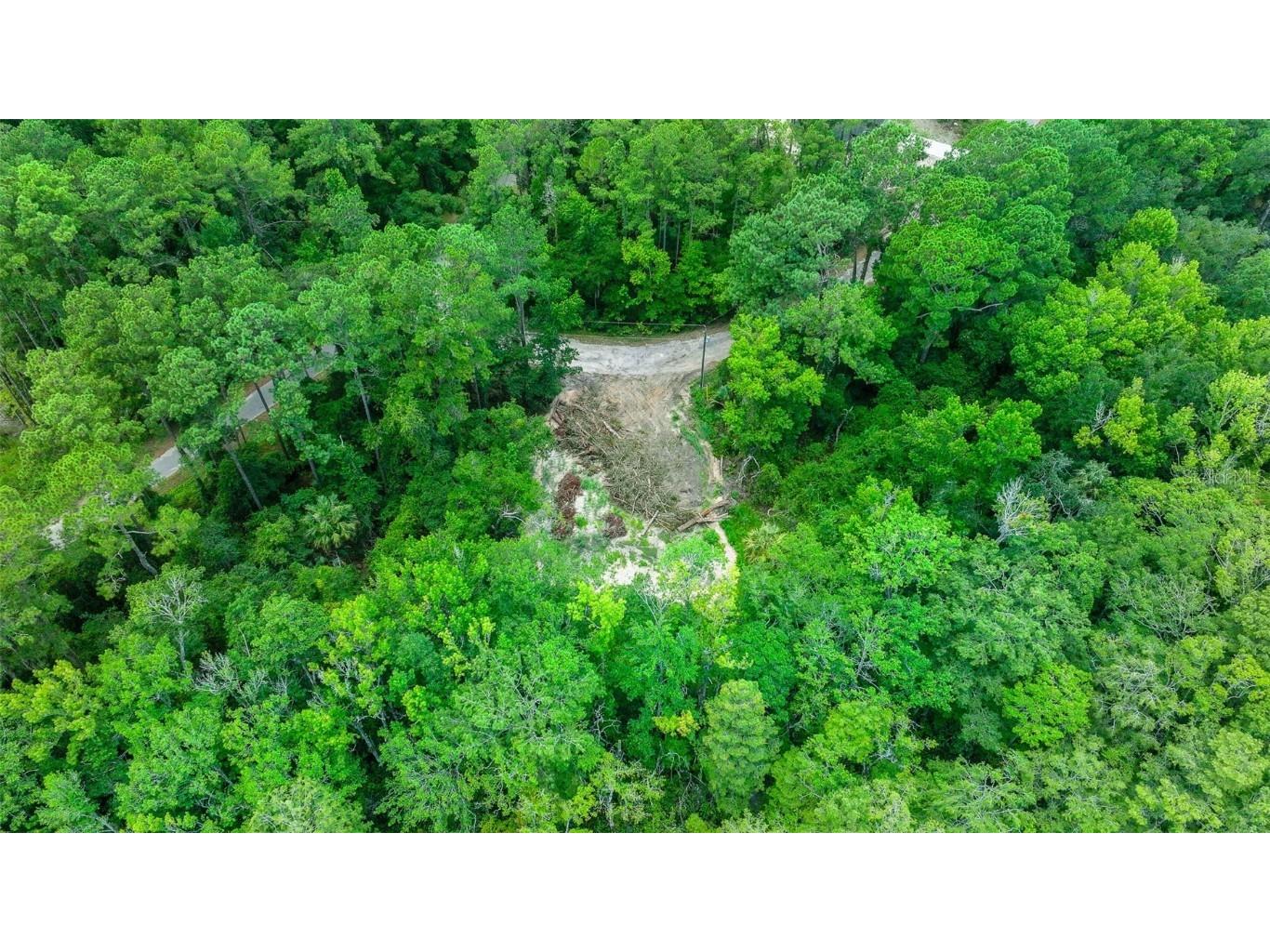 16535 SE 100th Place Ocklawaha FL 32179 G5084547 image11