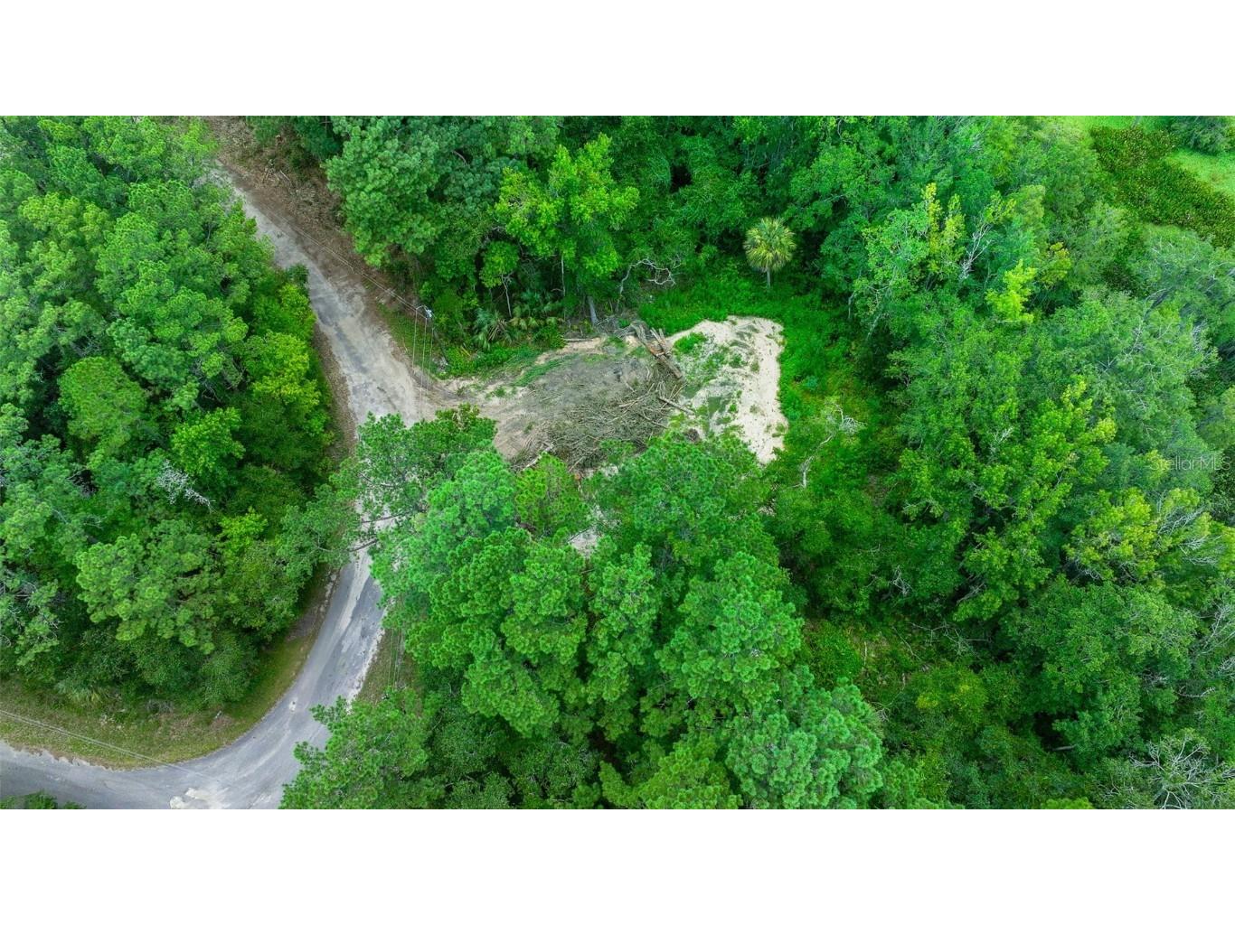 16535 SE 100th Place Ocklawaha FL 32179 G5084547 image12