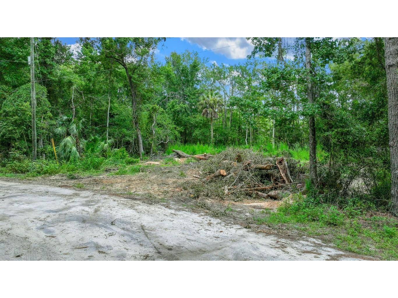 16535 SE 100th Place Ocklawaha FL 32179 G5084547 image2