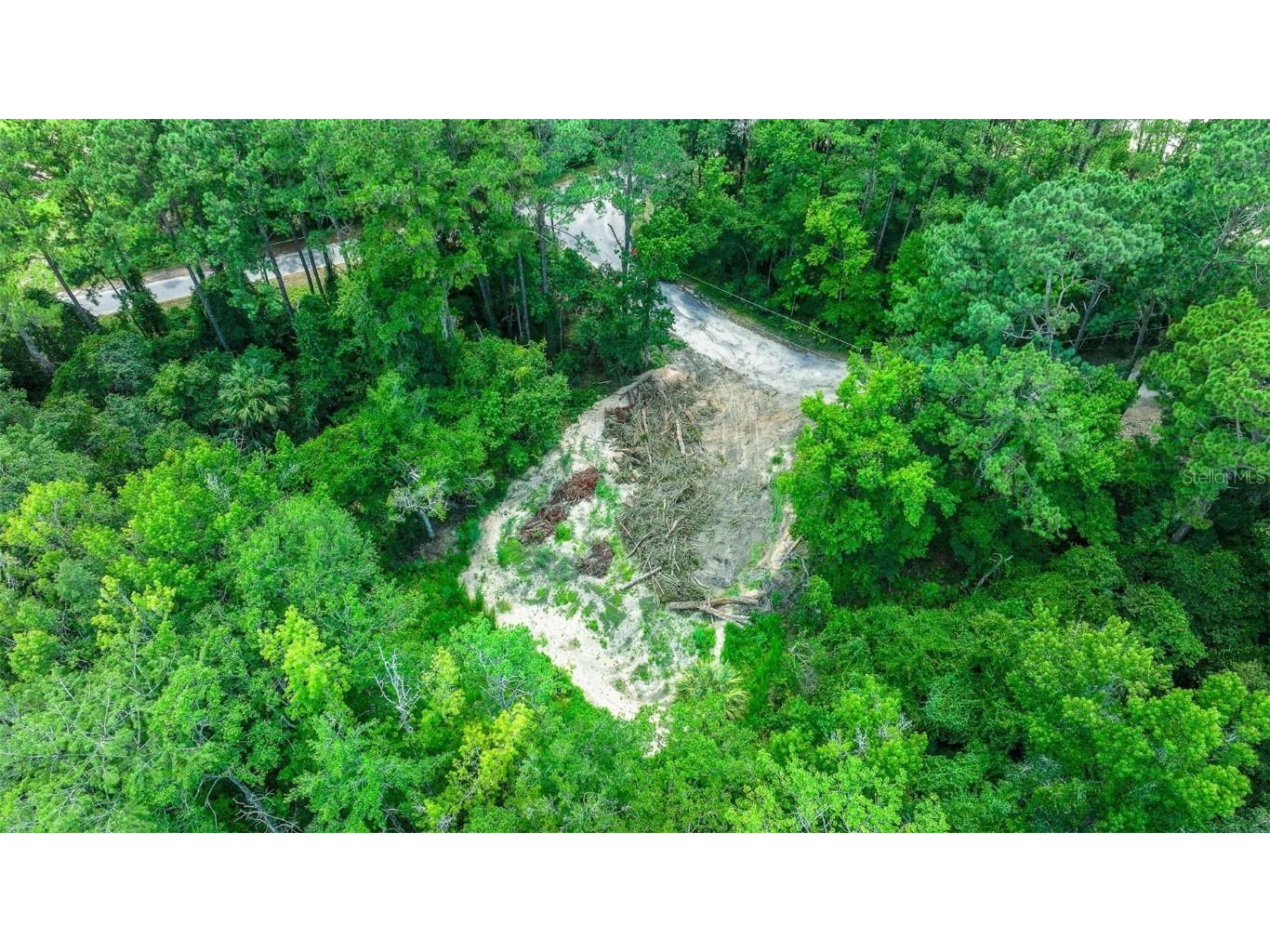 16535 SE 100th Place Ocklawaha FL 32179 G5084547 image3