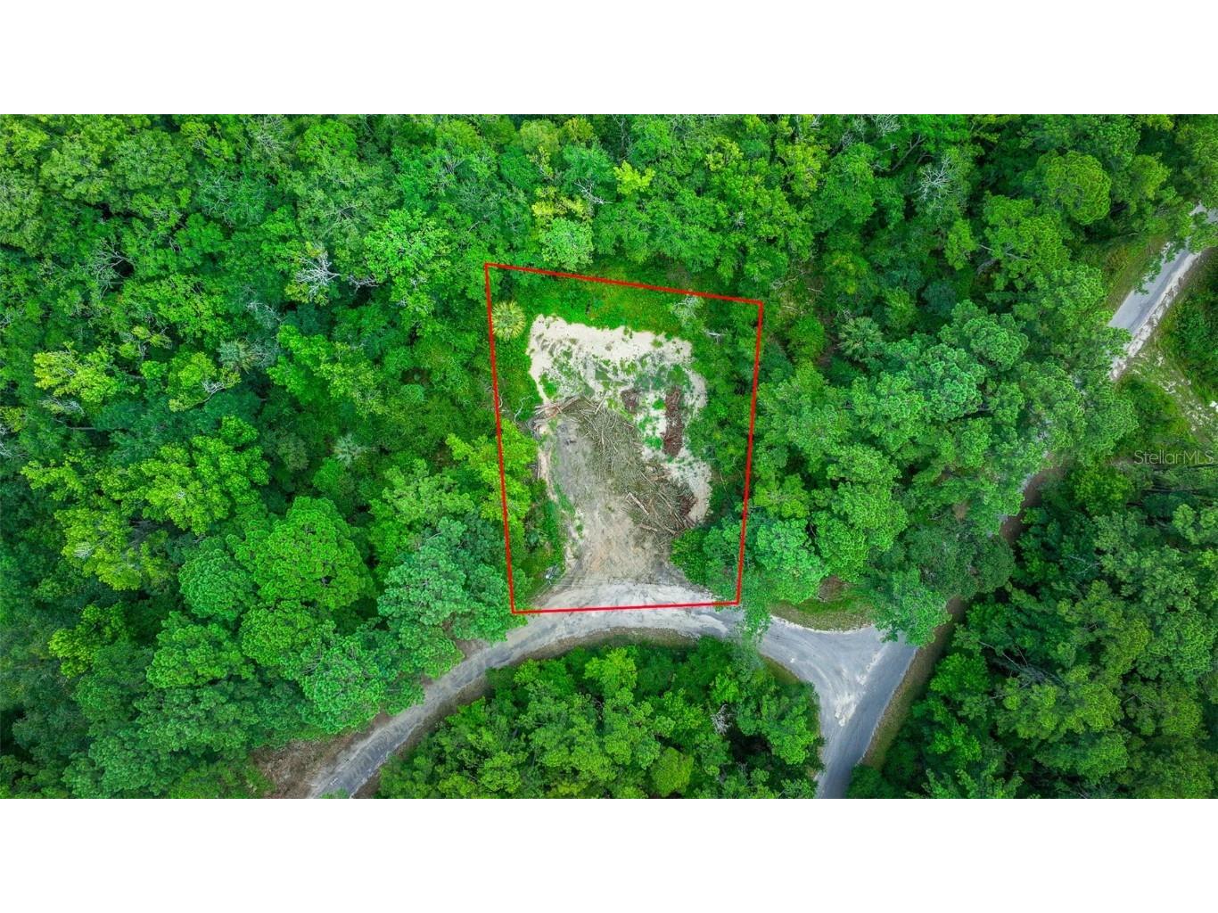 16535 SE 100th Place Ocklawaha FL 32179 G5084547 image5