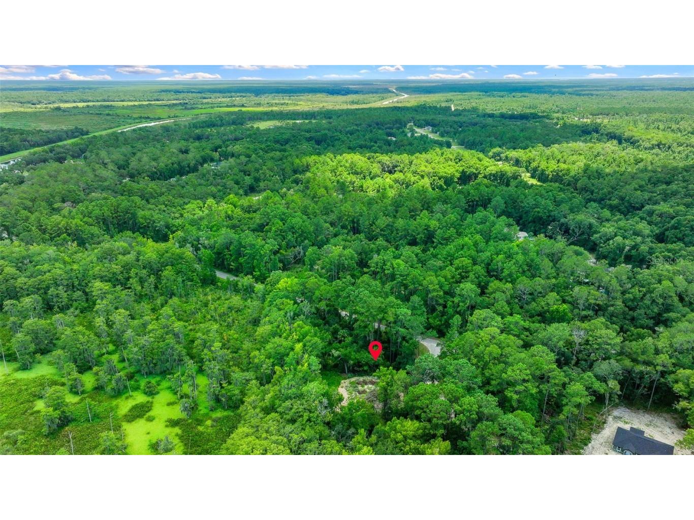 16535 SE 100th Place Ocklawaha FL 32179 G5084547 image9