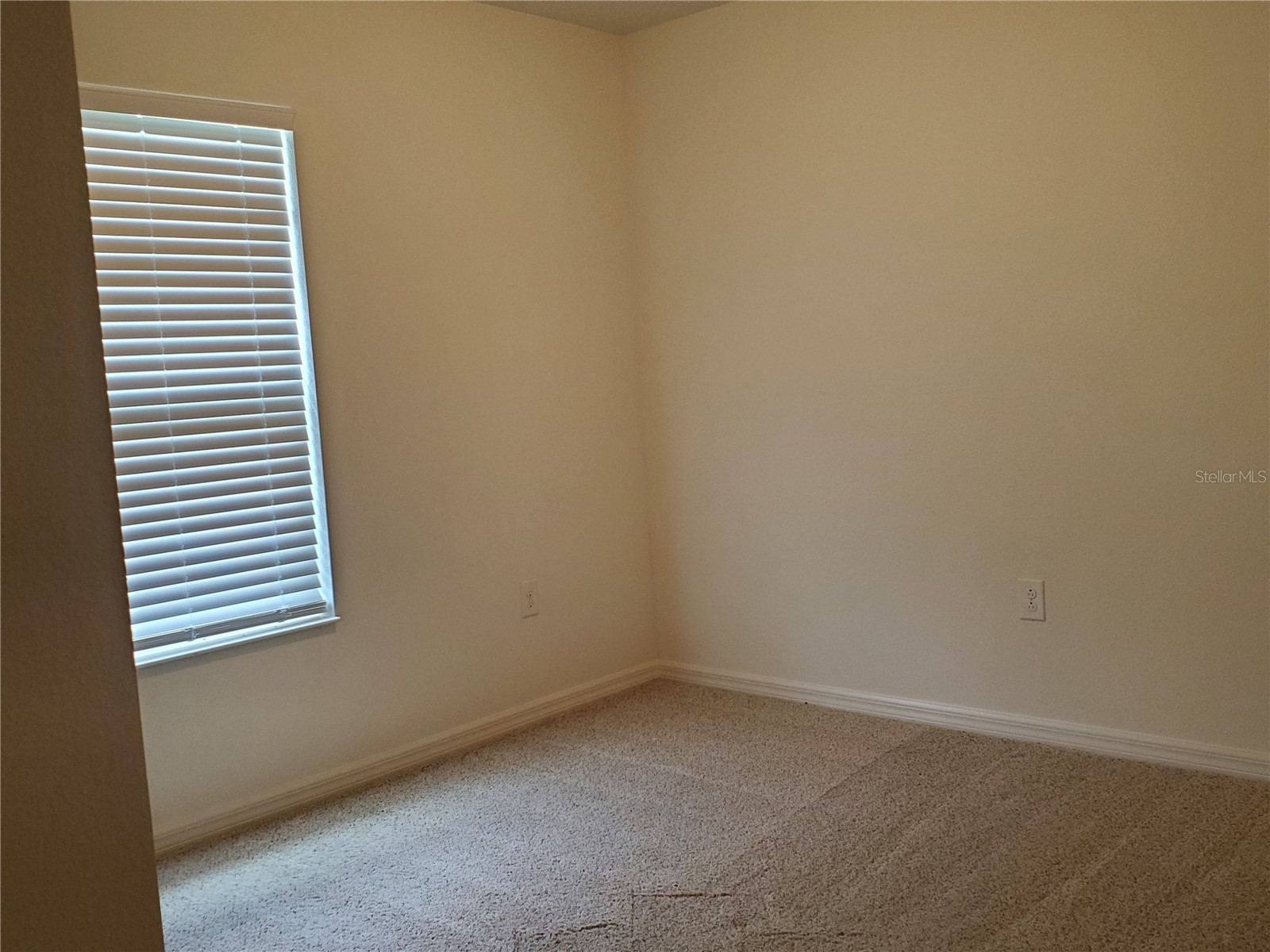 16536 Centipede Street Clermont FL 34714 O6404434 image4