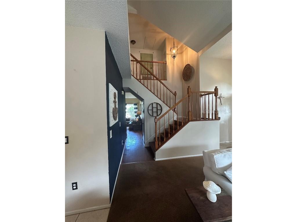 1654 Bayhill Drive Oldsmar FL 34677 TB8438417 image13