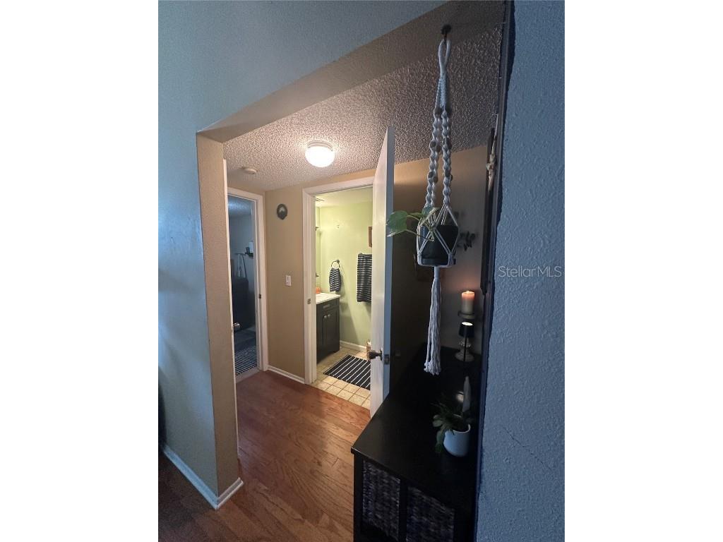 1654 Bayhill Drive Oldsmar FL 34677 TB8438417 image14