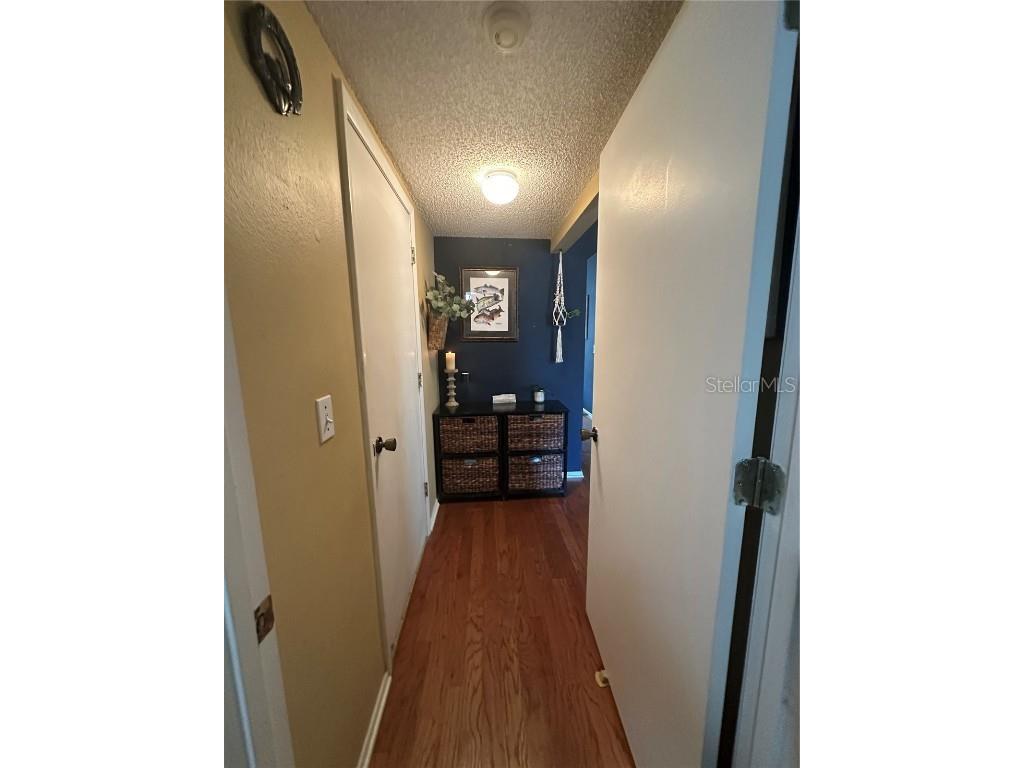 1654 Bayhill Drive Oldsmar FL 34677 TB8438417 image15