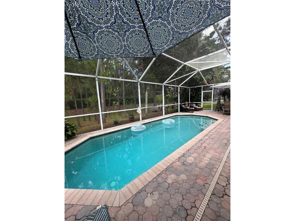 1654 Bayhill Drive Oldsmar FL 34677 TB8438417 image25