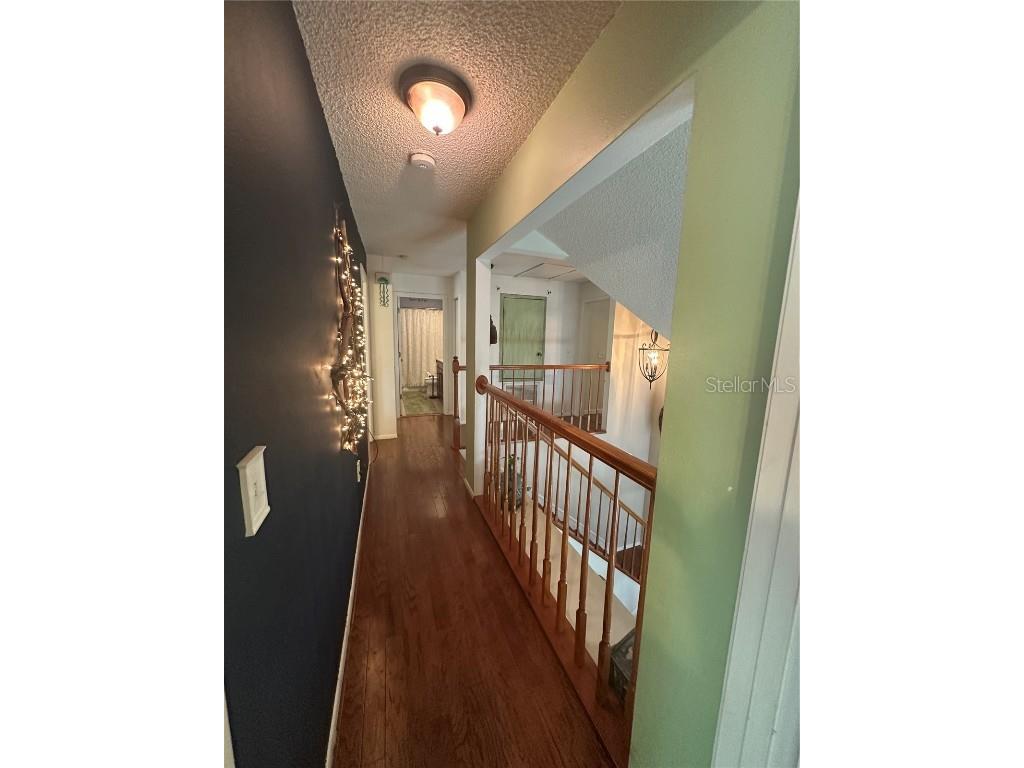 1654 Bayhill Drive Oldsmar FL 34677 TB8438417 image37