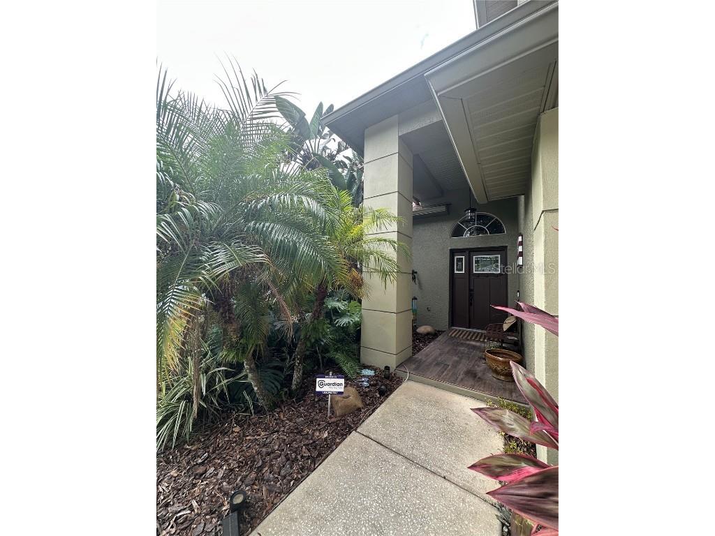 1654 Bayhill Drive Oldsmar FL 34677 TB8438417 image4