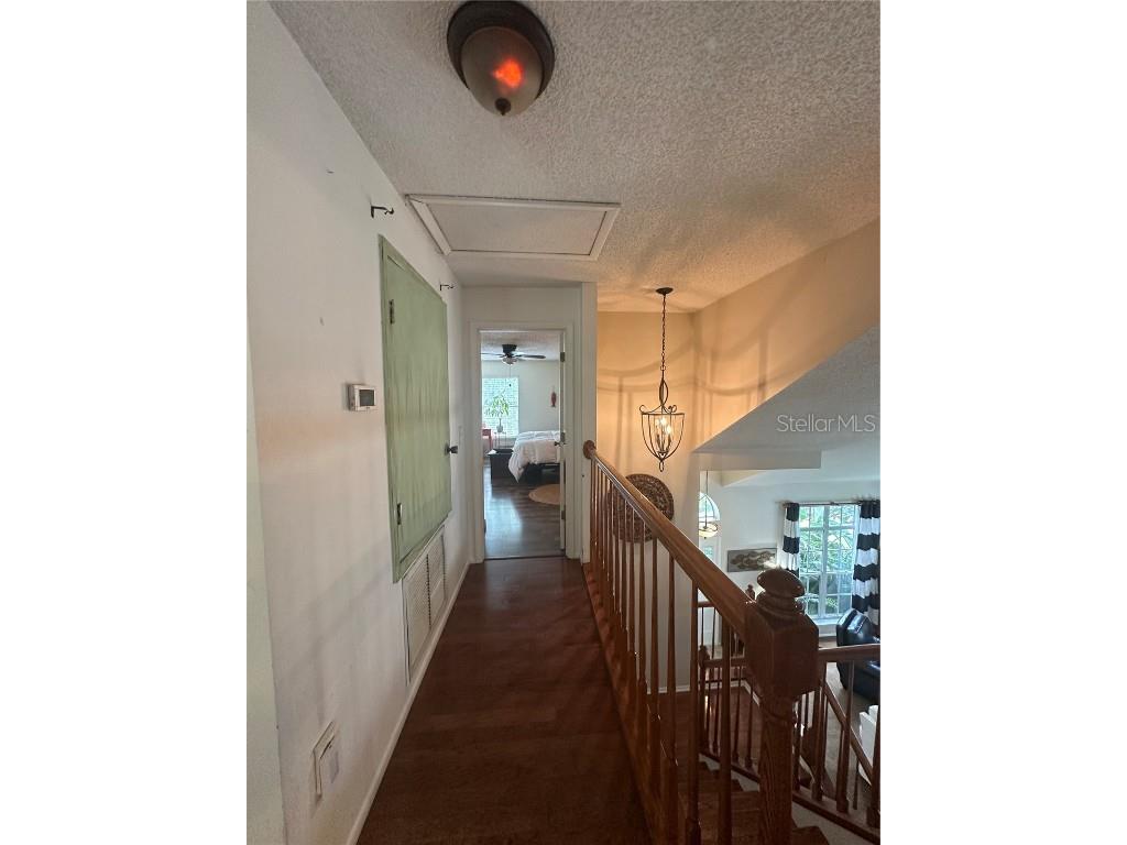 1654 Bayhill Drive Oldsmar FL 34677 TB8438417 image40