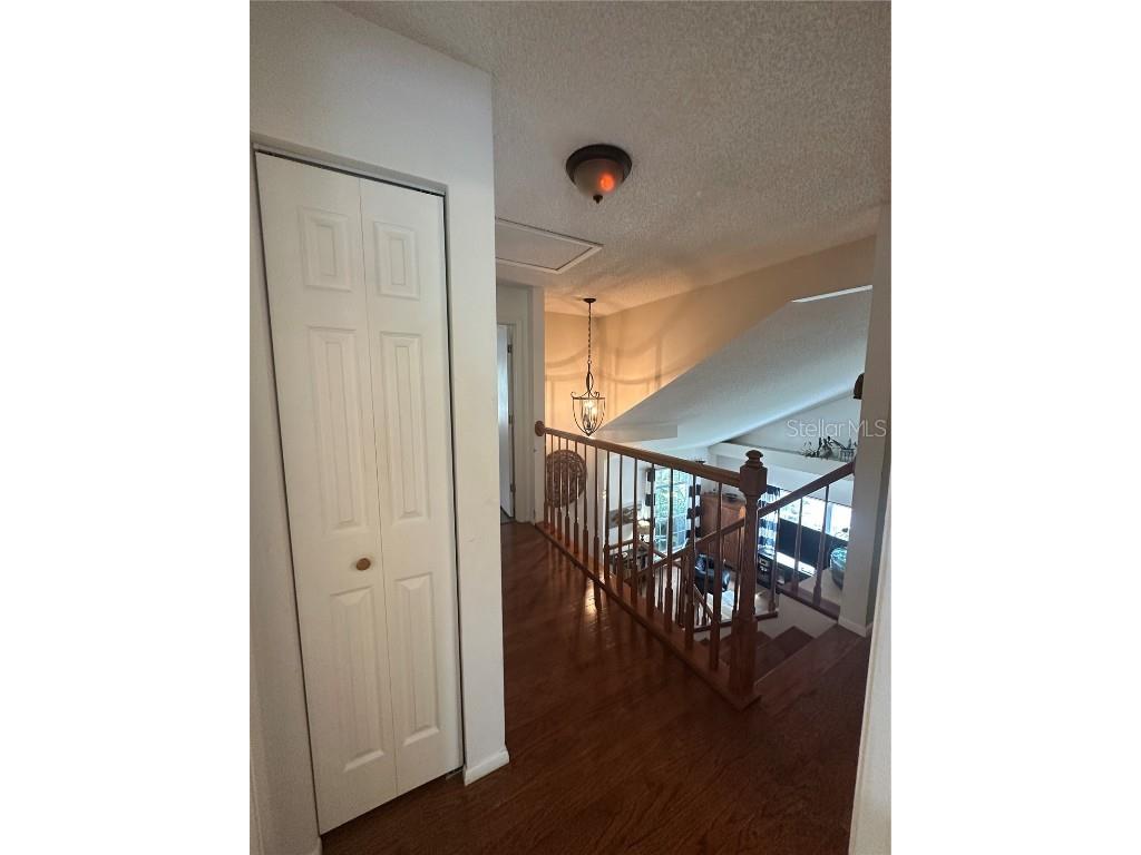 1654 Bayhill Drive Oldsmar FL 34677 TB8438417 image47