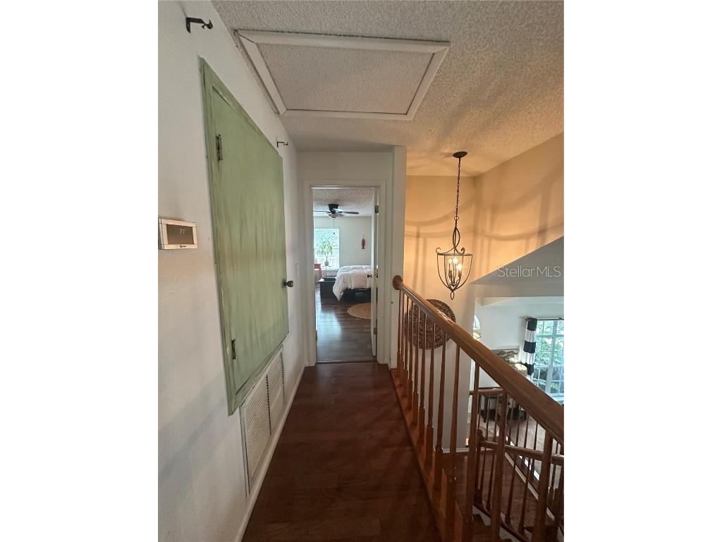 1654 Bayhill Drive Oldsmar FL 34677 TB8438417 image48