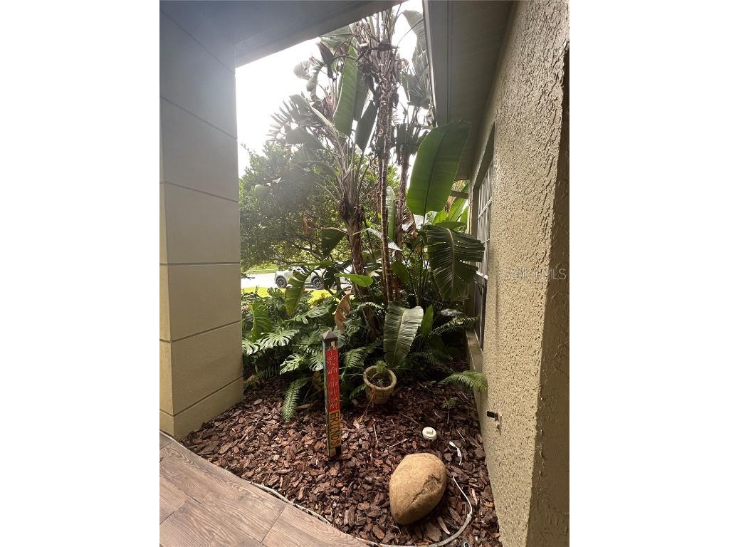 1654 Bayhill Drive Oldsmar FL 34677 TB8438417 image5