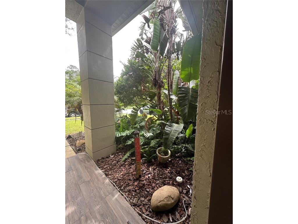 1654 Bayhill Drive Oldsmar FL 34677 TB8438417 image6