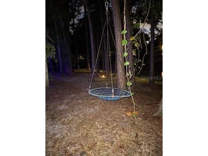 1654 Bayhill Drive Oldsmar FL 34677 TB8438417 image62