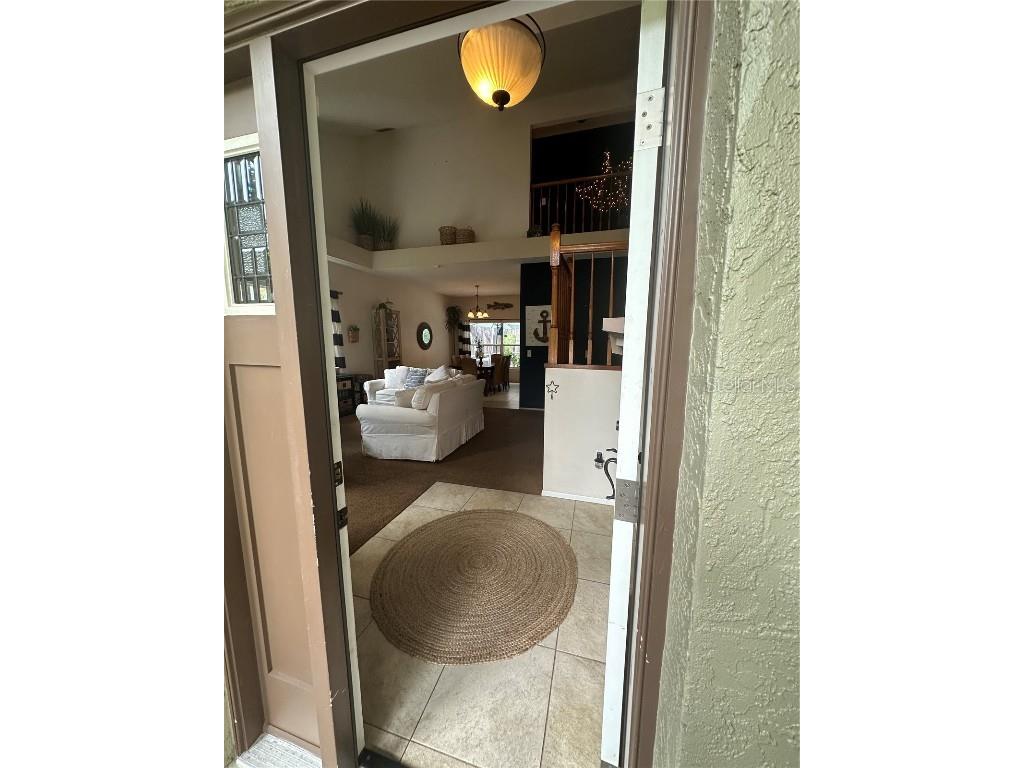 1654 Bayhill Drive Oldsmar FL 34677 TB8438417 image7