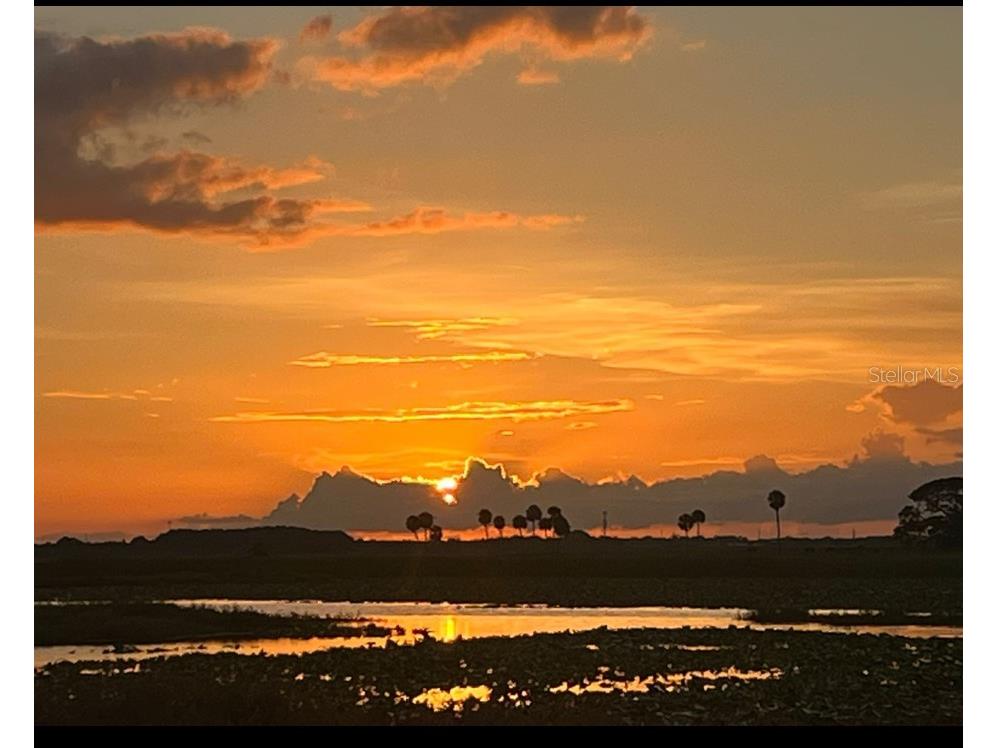 1654 Marina Lake Drive Kissimmee FL 34744 - LAKE TOHOPEKALIGA S5126615 image100