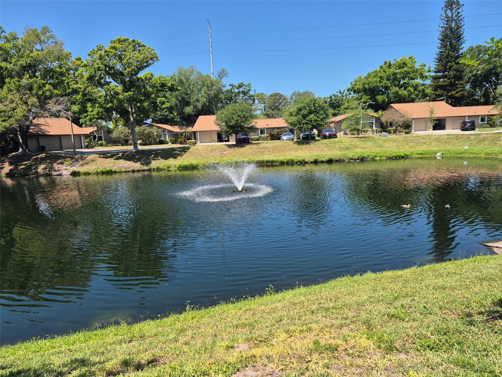 1654 Nash Court Dunedin FL 34698 TB8499400 image13