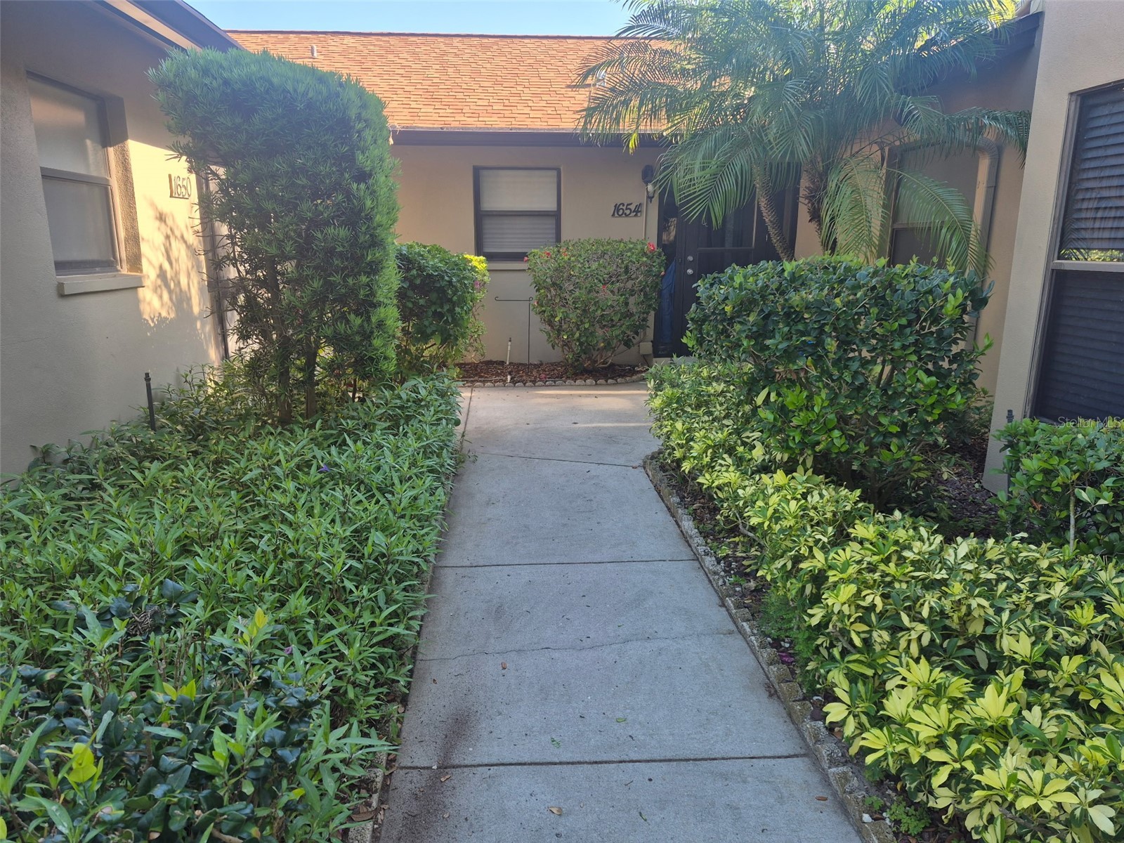 1654 Nash Court Dunedin FL 34698 TB8499400 image23