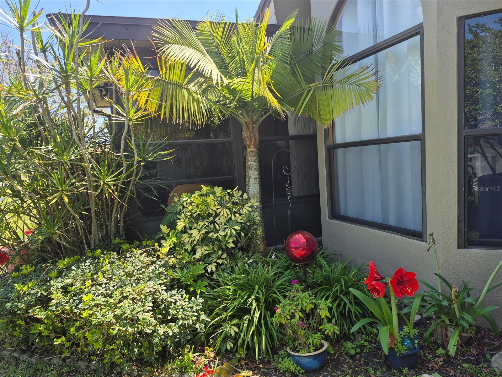 1654 Nash Court Dunedin FL 34698 TB8499400 image24