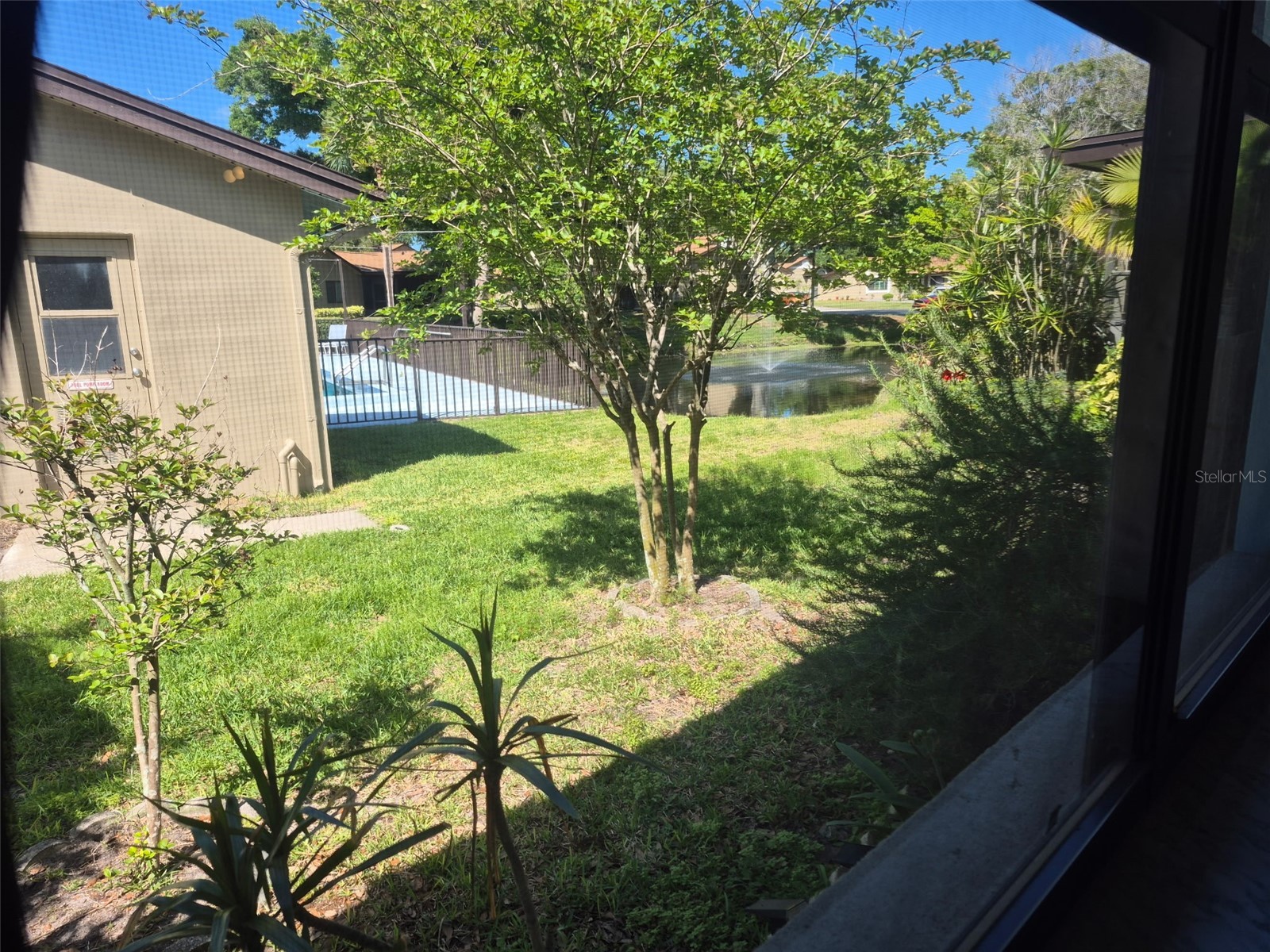 1654 Nash Court Dunedin FL 34698 TB8499400 image25