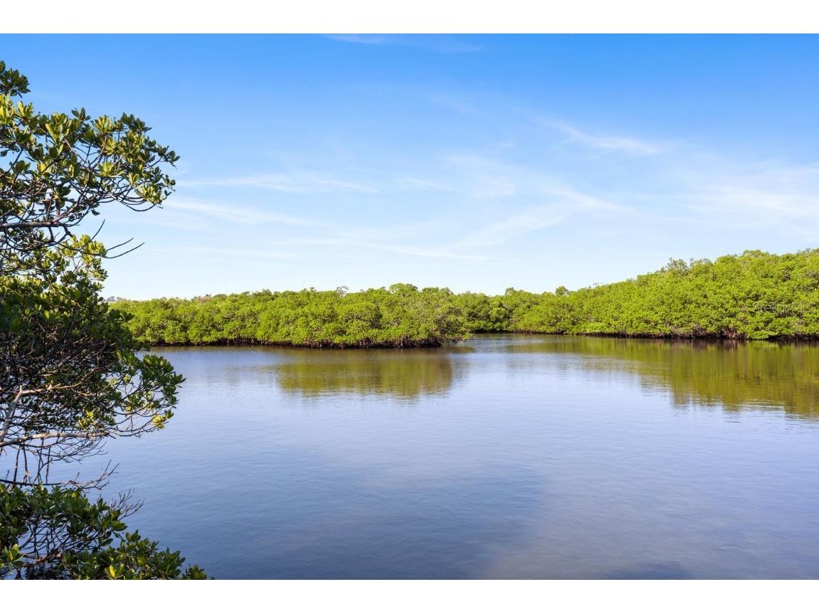 1654 Starling Drive #201 Sarasota FL 34231 A4593452 image52