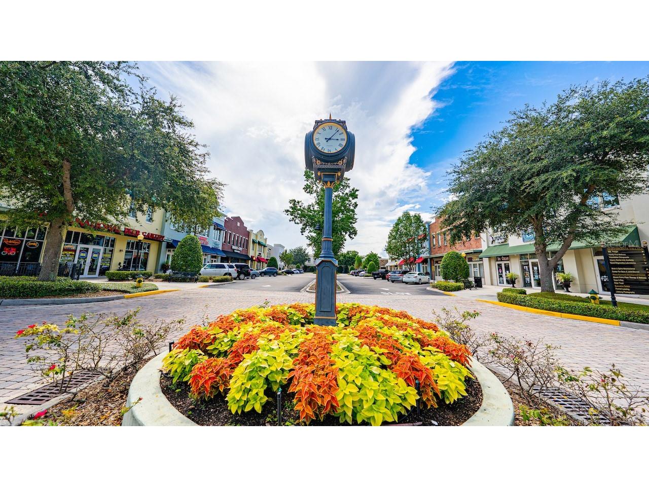 16540 Pointe Village Drive #206 Lutz FL 33558 TB8464257 image2