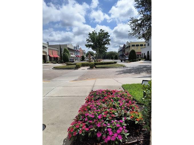 16540 Pointe Village Drive #206 Lutz FL 33558 TB8464257 image21