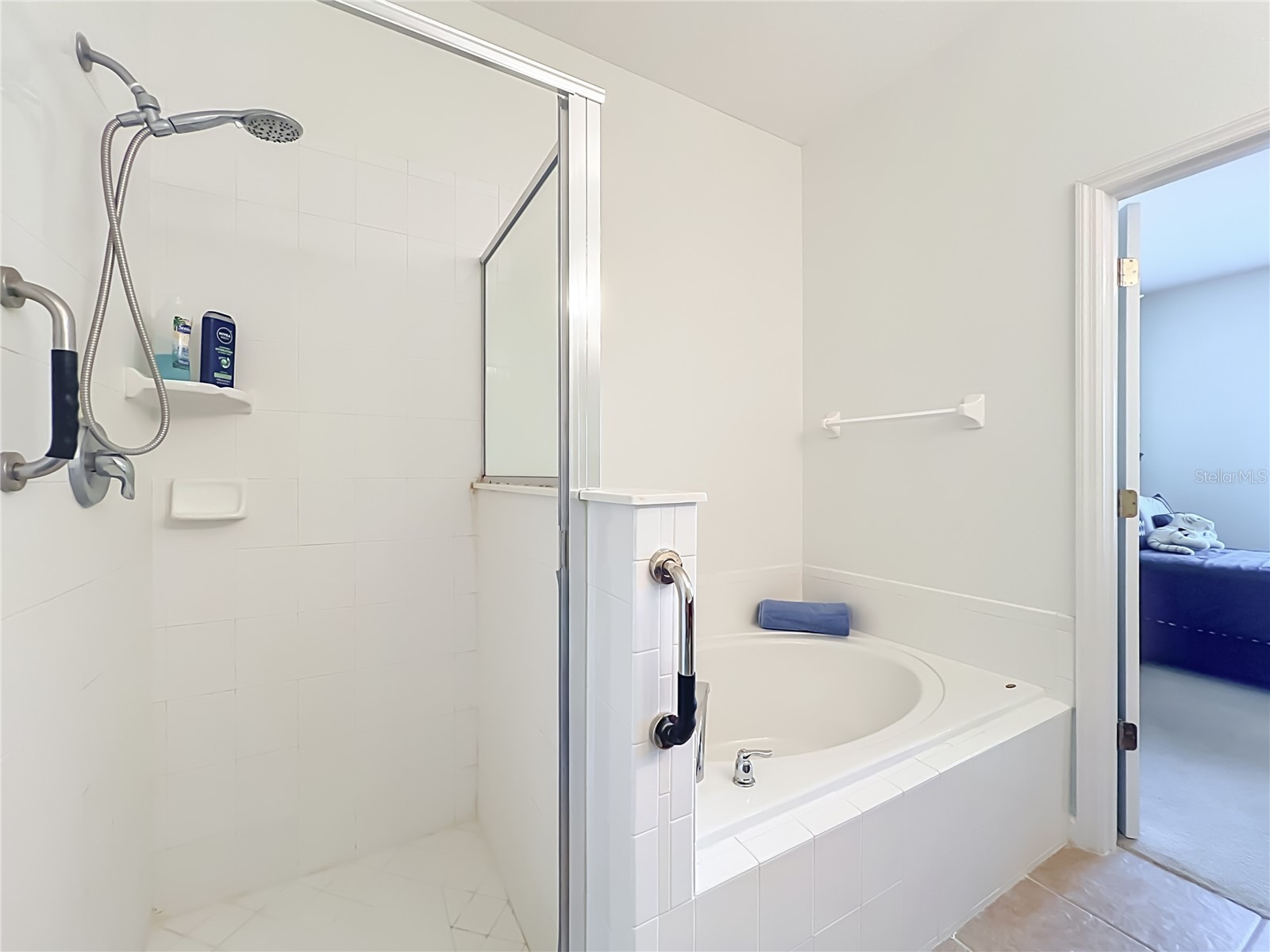 16543 Cedar Crest Drive Orlando FL 32828 O6425226 image32