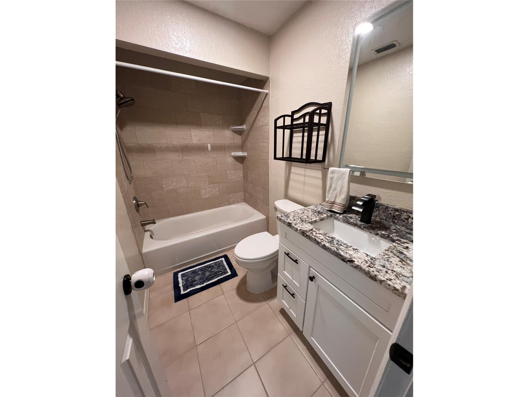 16543 Lake Brigadoon Circle Tampa FL 33618 TB8487125 image12
