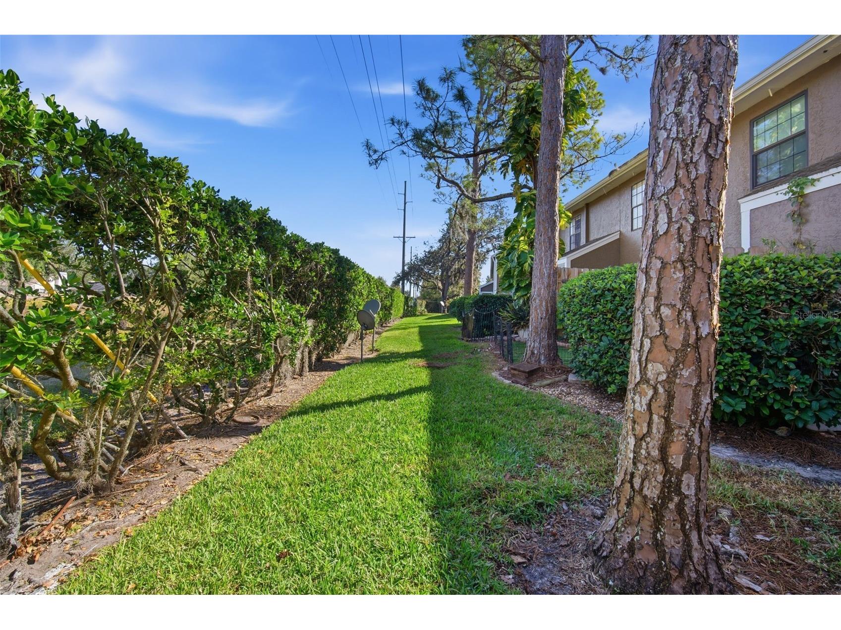 16545 Lake Brigadoon Circle Tampa FL 33618 TB8494503 image28