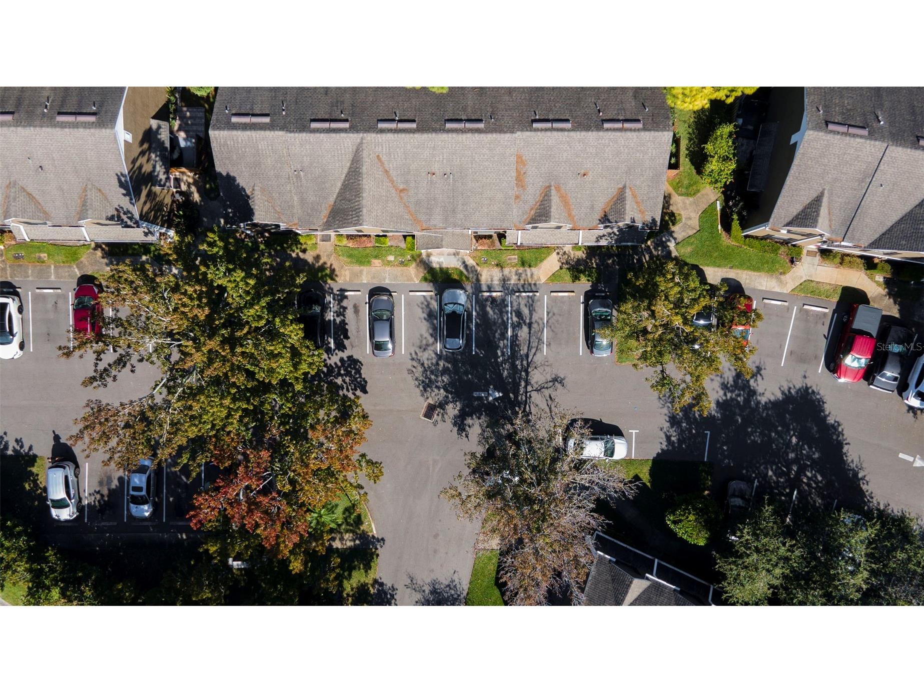 16545 Lake Brigadoon Circle Tampa FL 33618 TB8494503 image34