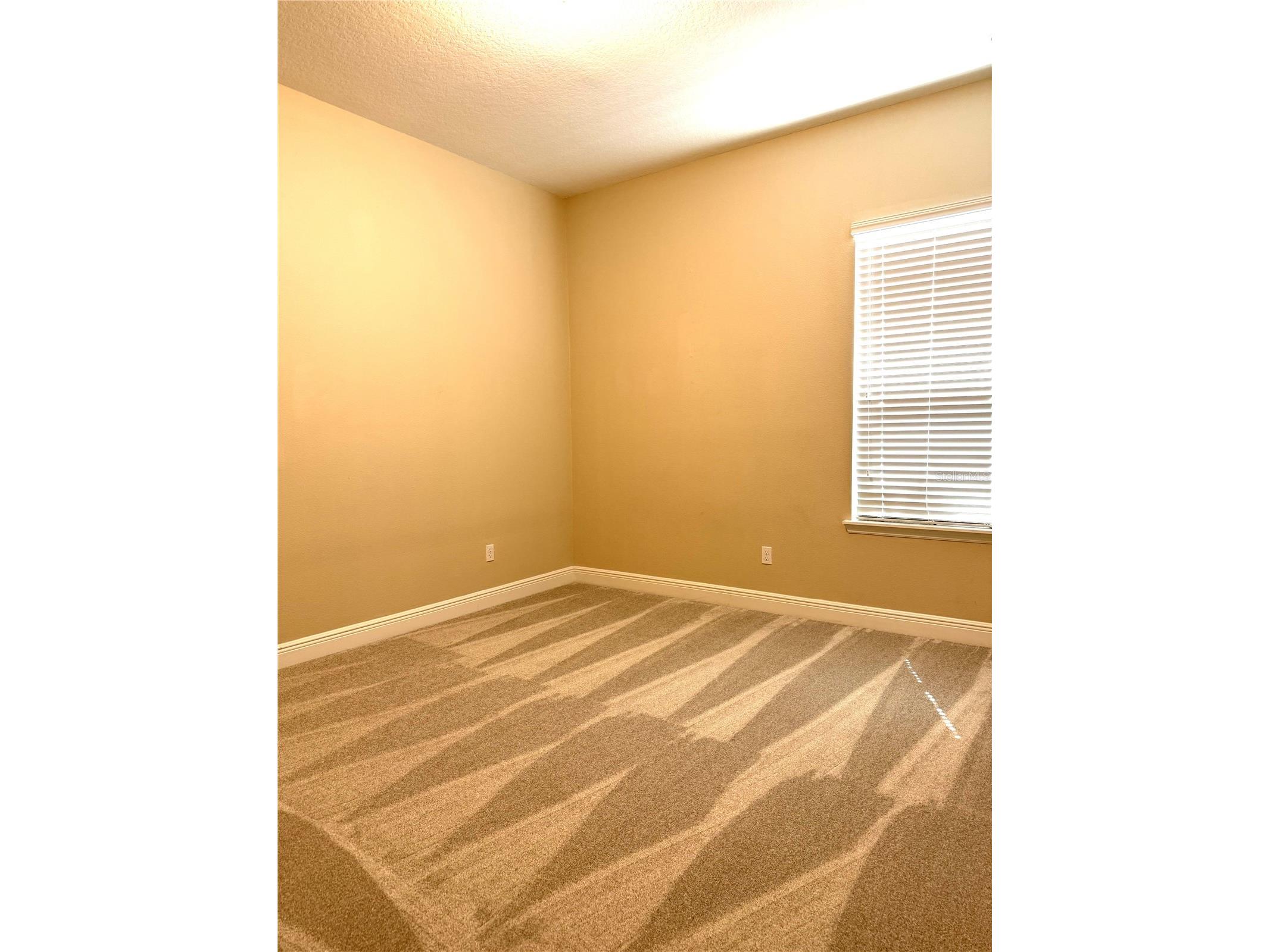 16545 Broadwater Avenue Winter Garden FL 34787 O6389243 image45