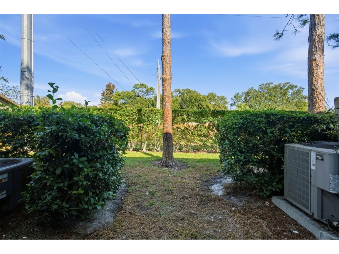 16545 Lake Brigadoon Circle Tampa FL 33618 TB8448636 image26