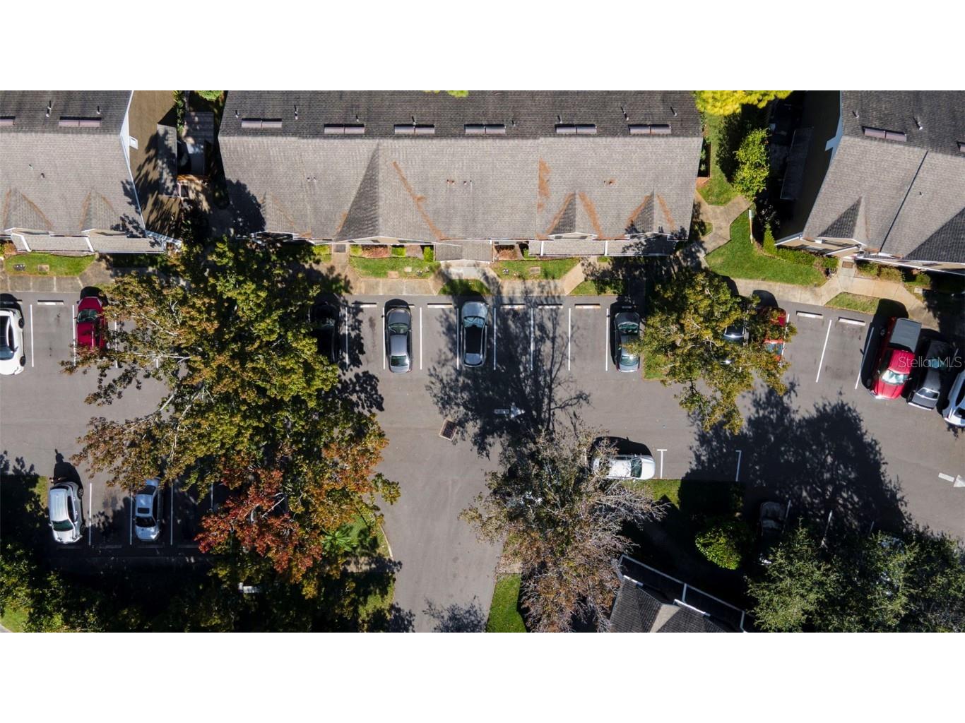 16545 Lake Brigadoon Circle Tampa FL 33618 TB8448636 image34