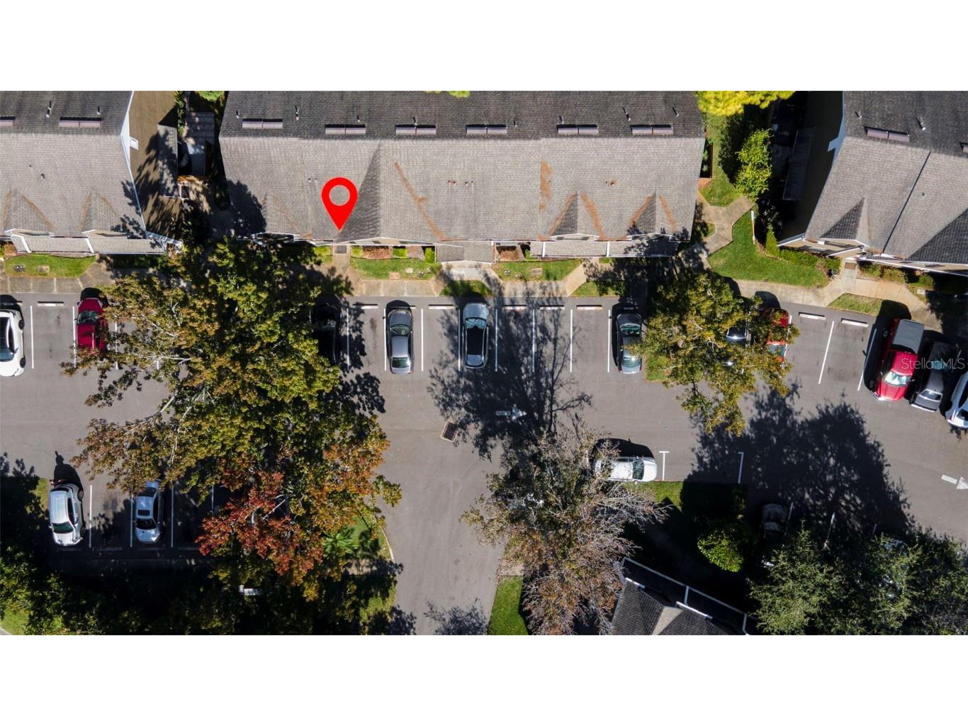 16545 Lake Brigadoon Circle Tampa FL 33618 TB8448636 image44